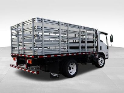New 2025 Chevrolet Low Cab Forward