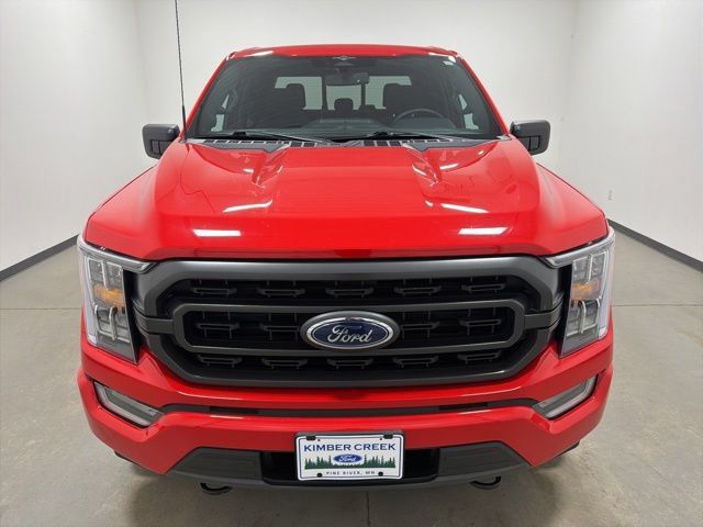 Used 2023 Ford F150 XLT w/ Equipment Group 302A High AWD/4WD image 2