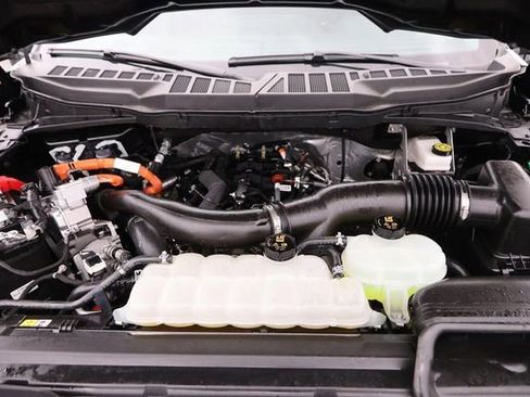 Used 2025 Ford F150 XLT w/ Equipment Group 301A Standard image 28