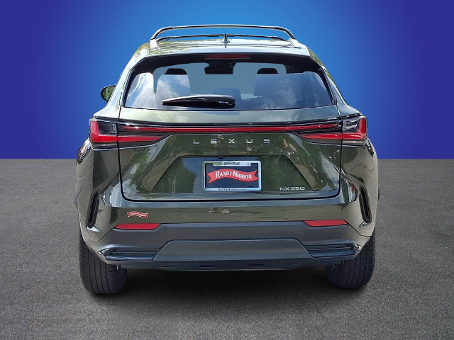 Used 2023 Lexus NX 250 FWD image 5