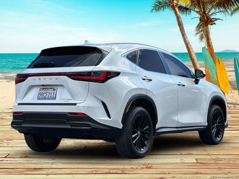 Used 2025 Lexus NX 350h AWD w/ Cold Area Package image 6