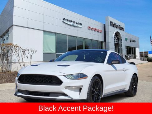 Used 2019 Ford Mustang Coupe w/ Black Accent Package RWD image 2