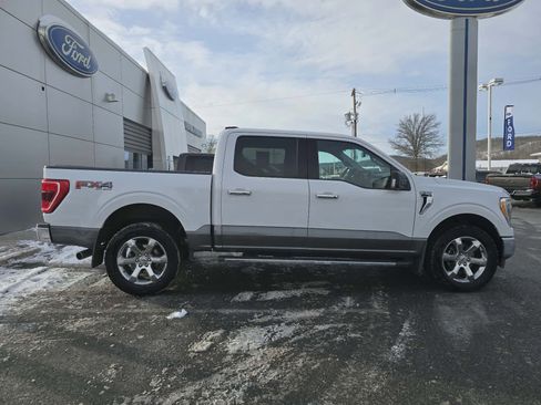 Used 2021 Ford F150 XLT w/ Equipment Group 302A High image 2
