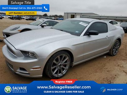 Used 2014 Ford Mustang Coupe w/ Equipment Group 102A