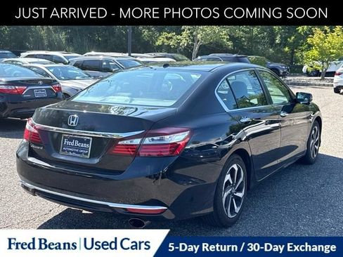 Used 2017 Honda Accord EX-L image 8