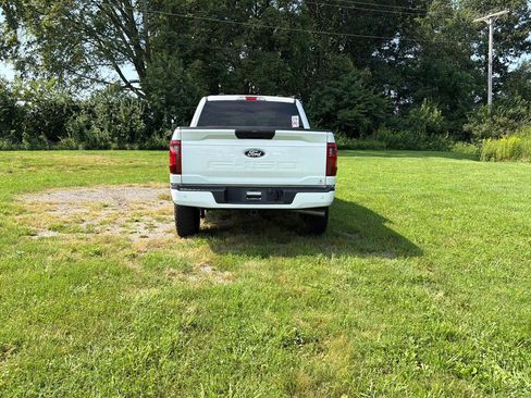 Used 2025 Ford F150 XLT w/ Equipment Group 301A Standard AWD/4WD image 5