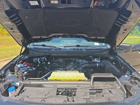 Used 2025 Ford F150 XLT w/ Equipment Group 301A Standard AWD/4WD image 29