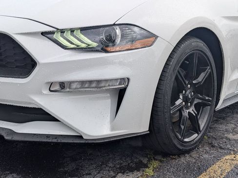 Used 2019 Ford Mustang Premium w/ Equipment Group 201A RWD image 9