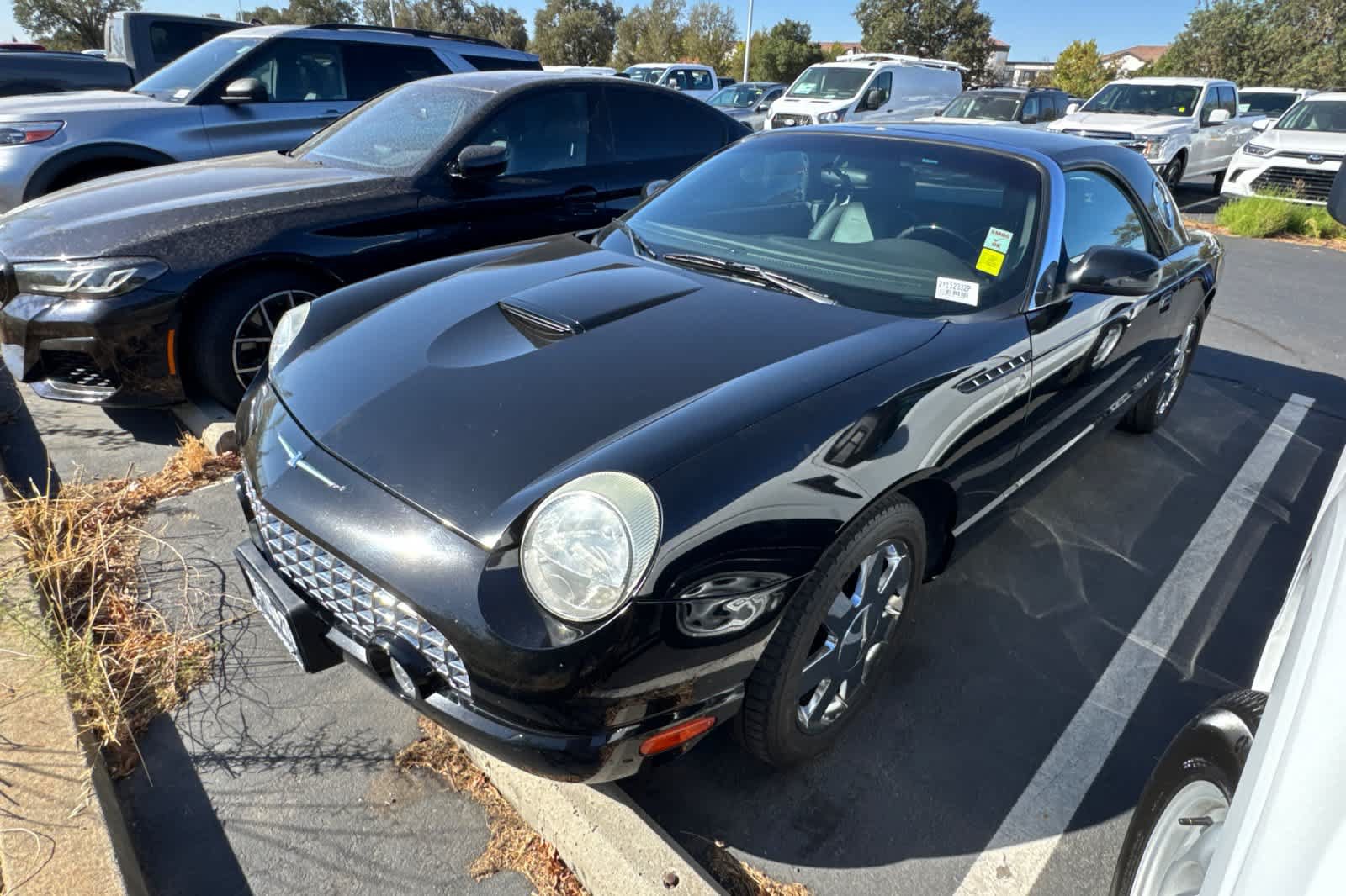 Used 2002 Ford Thunderbird RWD image 1