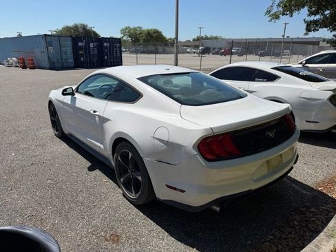 Used 2019 Ford Mustang Coupe RWD image 8