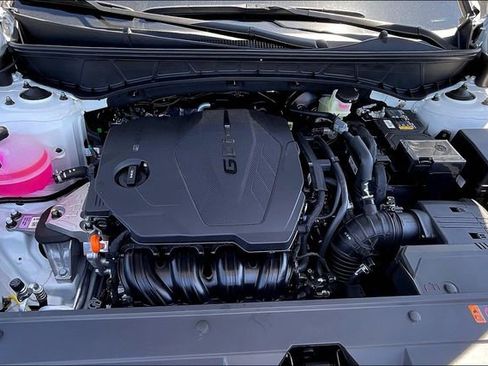 Used 2024 Hyundai Santa Cruz SEL w/ Activity Package image 11