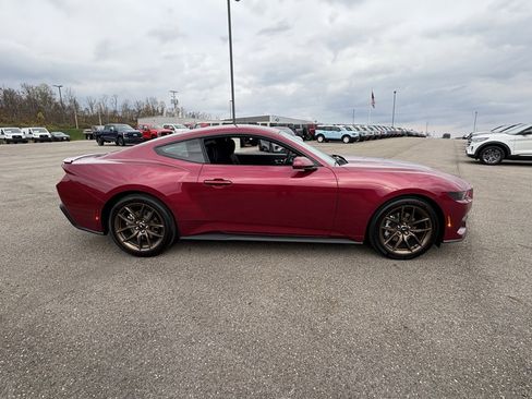 New 2026 Ford Mustang Coupe w/ Bronze Appearance Package image 6