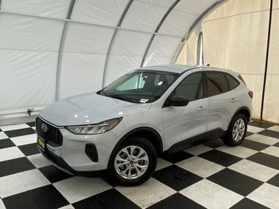 Used 2025 Ford Escape Active