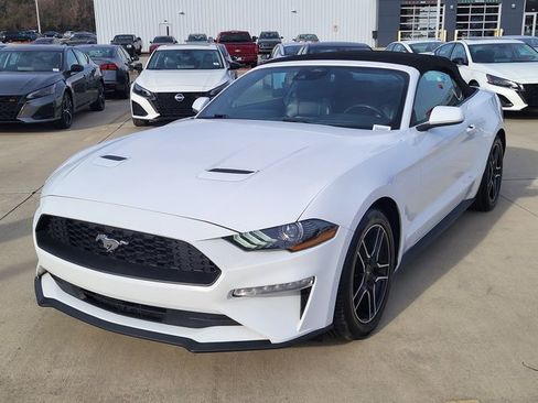 Used 2023 Ford Mustang Premium image 6