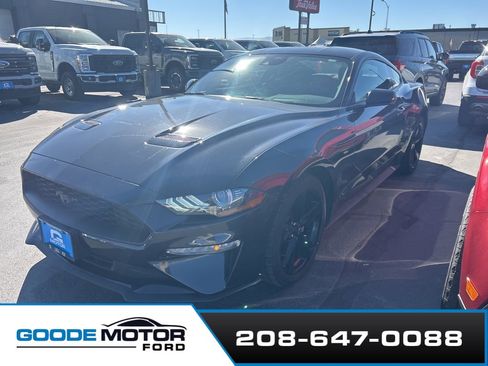 Used 2022 Ford Mustang Coupe w/ Equipment Group 101A image 2