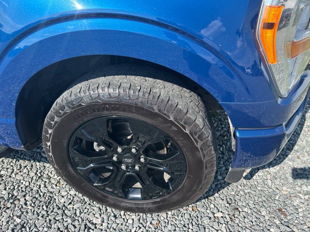 Used 2022 Ford F150 XL w/ STX Black Appearance Package RWD image 7