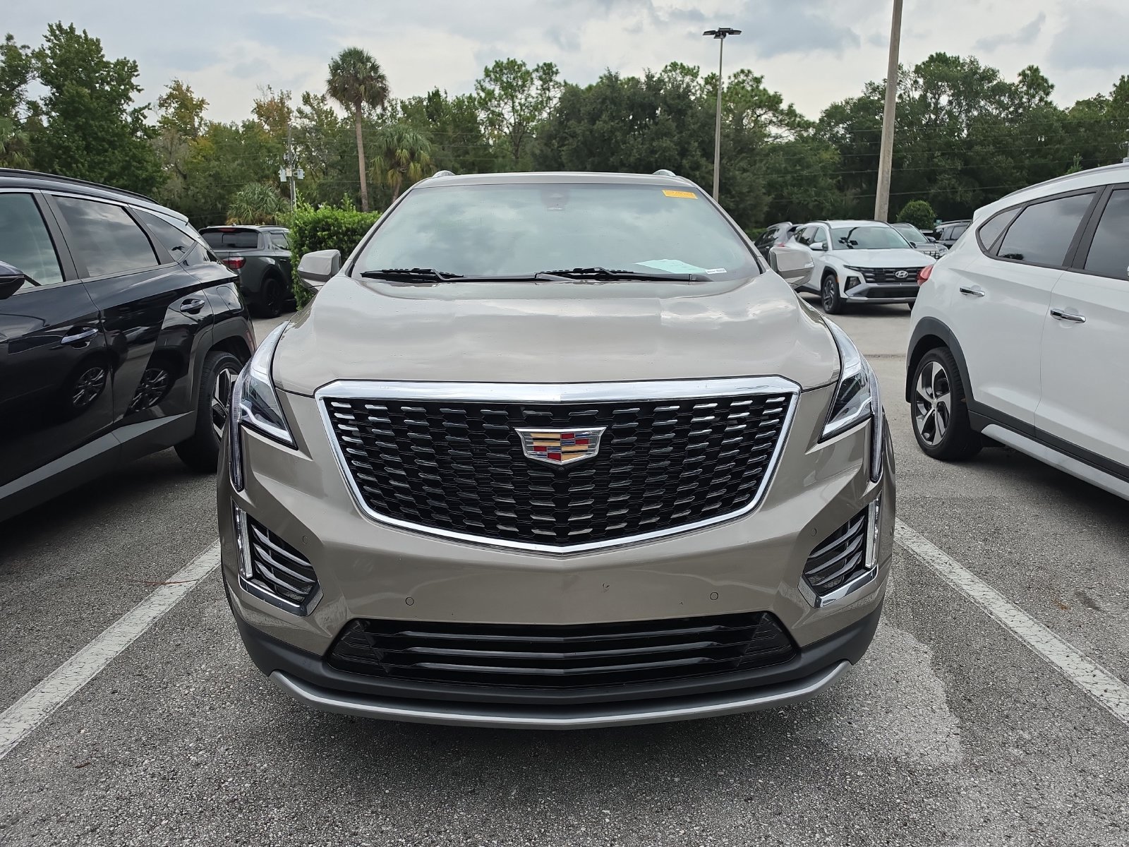 Used 2023 Cadillac XT5 Premium Luxury w/ Technology Package FWD image 8