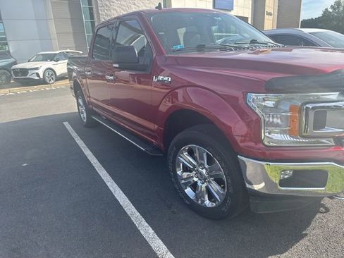 Used 2019 Ford F150 XLT w/ Equipment Group 302A Luxury AWD/4WD image 2