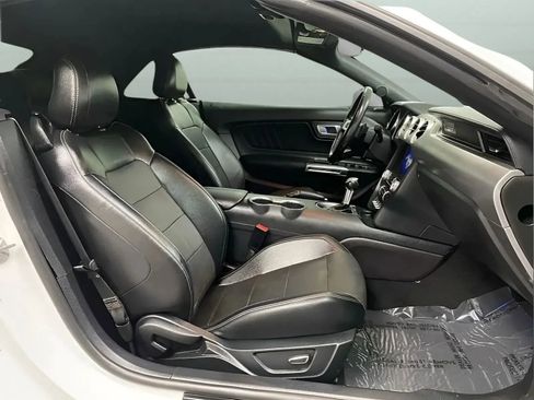 Used 2019 Ford Mustang Premium RWD image 12