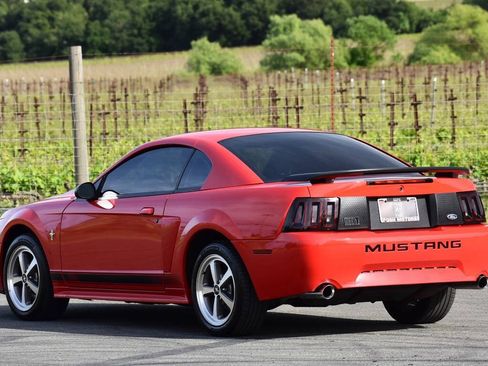 Used 2003 Ford Mustang Mach 1 RWD image 19