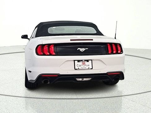 Used 2019 Ford Mustang Premium RWD image 6