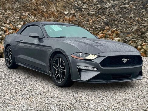 Used 2018 Ford Mustang Premium image 9