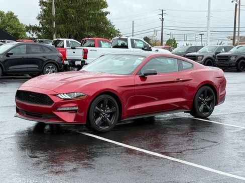 Certified 2023 Ford Mustang EcoBoost w/ Equipment Group 101A image 7