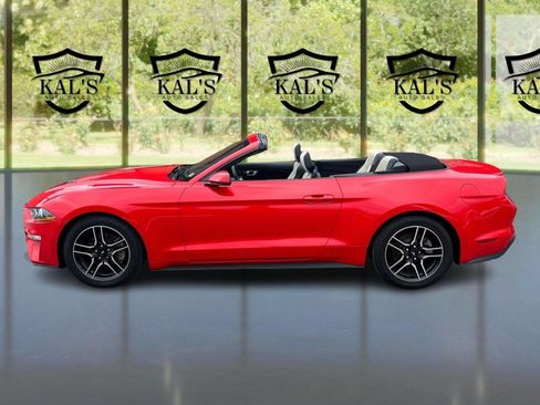 Used 2019 Ford Mustang Premium image 8