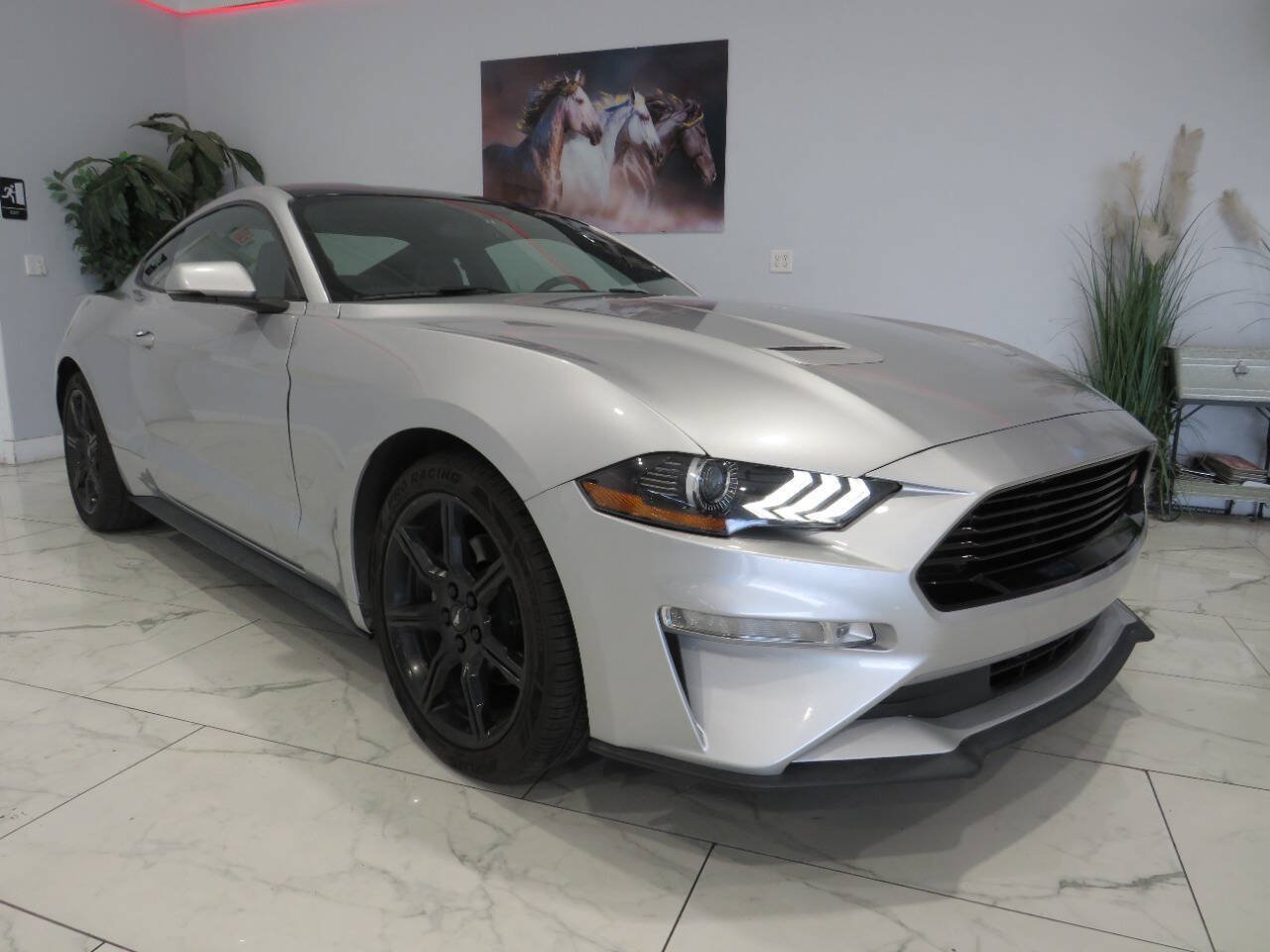 Used 2019 Ford Mustang Premium w/ Equipment Group 201A RWD image 2