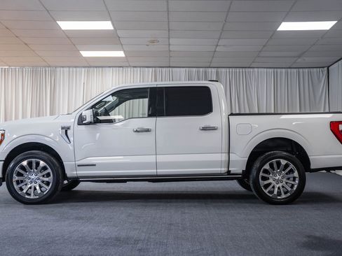 Certified 2023 Ford F150 Limited image 5