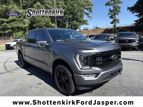 Used 2023 Ford F150 Platinum w/ Equipment Group 701A High AWD/4WD image 1