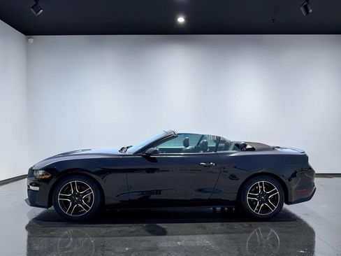 Used 2020 Ford Mustang Premium RWD image 6