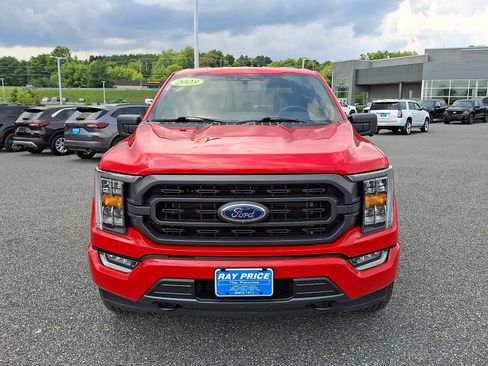 Used 2023 Ford F150 XLT w/ Equipment Group 302A High AWD/4WD image 2