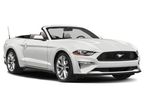 Used 2022 Ford Mustang Premium RWD image 6