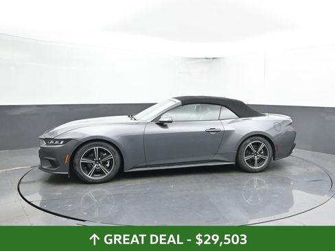 Used 2024 Ford Mustang Premium image 8