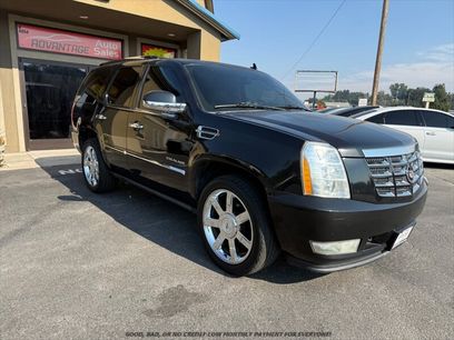 Used 2010 Cadillac Escalade Premium