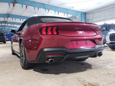 Used 2025 Ford Mustang Premium image 6