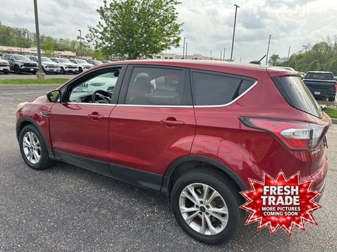Used 2017 Ford Escape SE w/ SE Cold Weather Package image 5