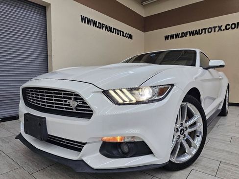 Used 2017 Ford Mustang Premium w/ Equipment Group 201A RWD image 1
