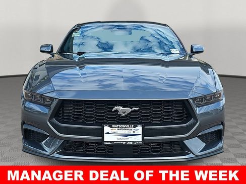 New 2026 Ford Mustang Coupe image 8