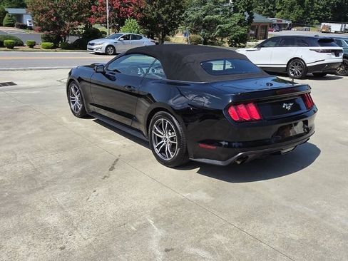 Used 2017 Ford Mustang Premium RWD image 10