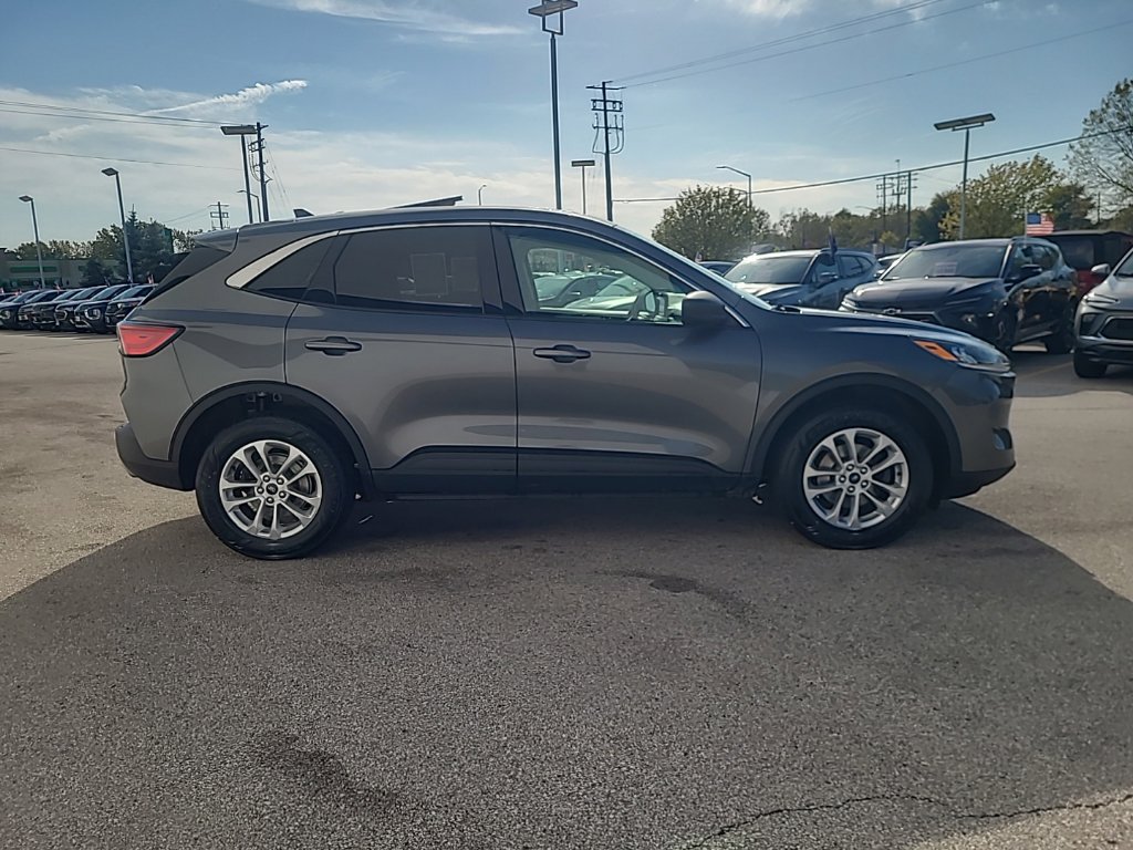 Used 2022 Ford Escape SE AWD/4WD image 7