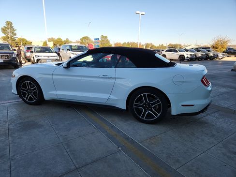 Used 2023 Ford Mustang Premium image 4