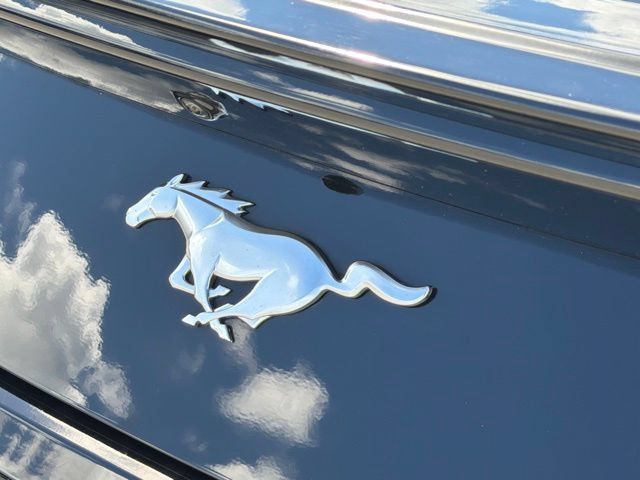 Used 2025 Ford Mustang Coupe RWD image 13