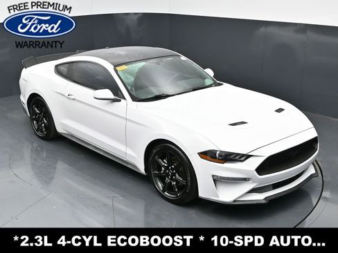 Used 2019 Ford Mustang Coupe w/ Equipment Group 101A RWD image 28