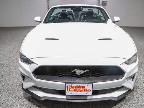 Used 2022 Ford Mustang Premium image 4