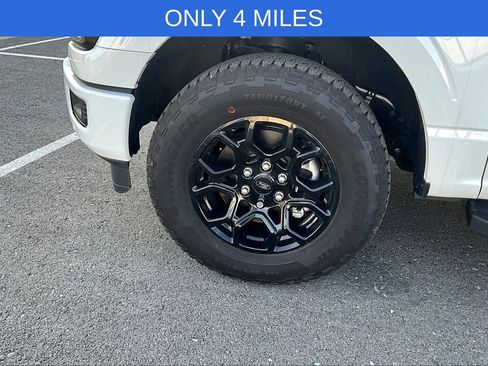 Used 2025 Ford F150 XLT w/ Equipment Group 302A MID image 10