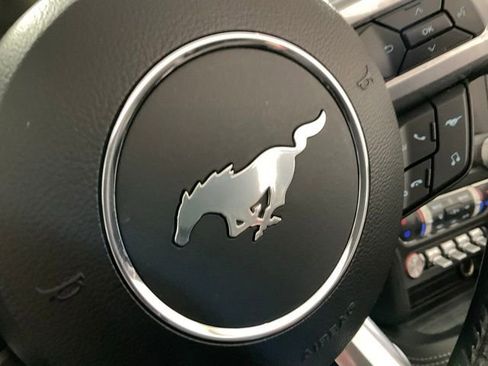 Used 2019 Ford Mustang Premium w/ Equipment Group 201A image 40