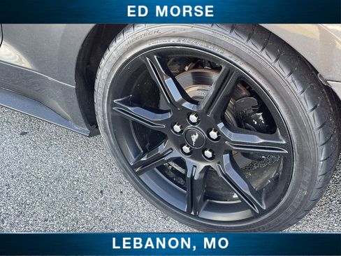 Used 2019 Ford Mustang Coupe w/ Equipment Group 101A RWD image 28