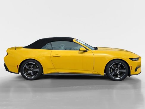 Used 2024 Ford Mustang Premium image 3